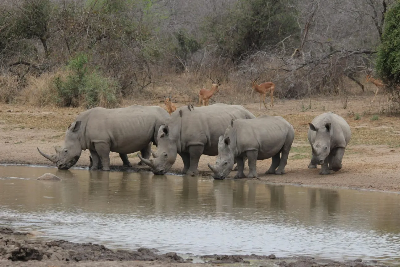 Avanza Adventures 022