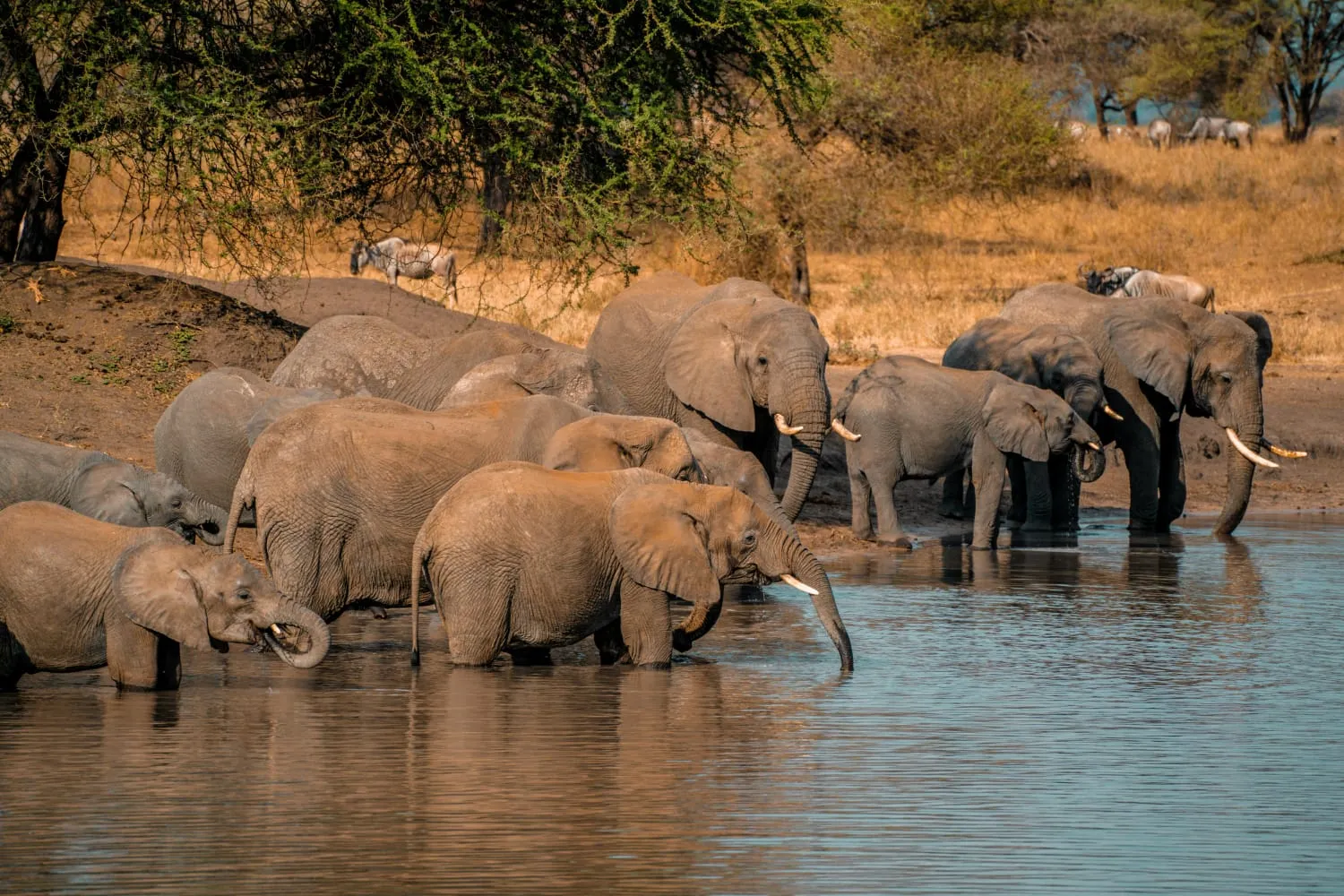 Avanza Adventures 049