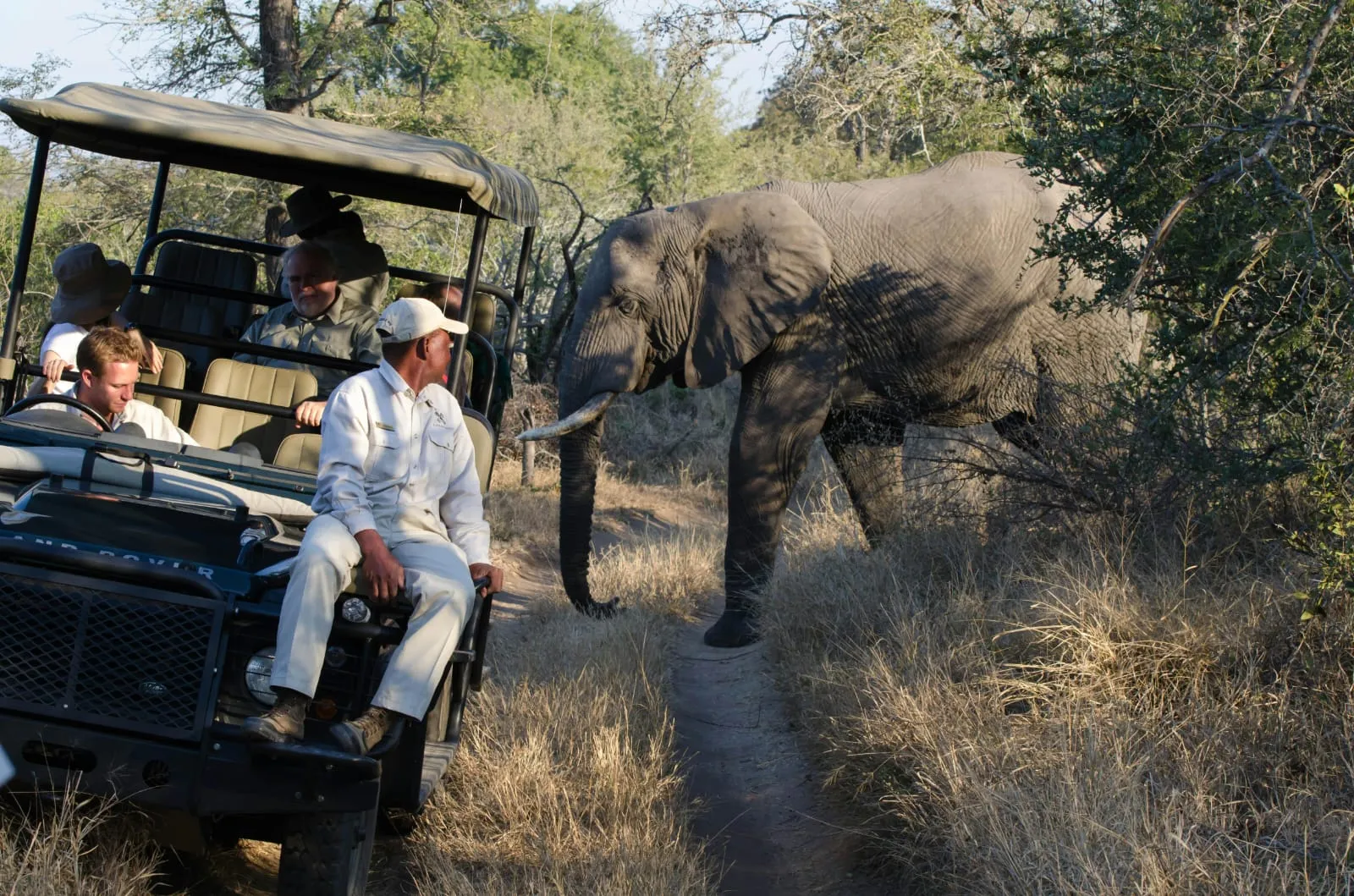 Avanza Adventures 059
