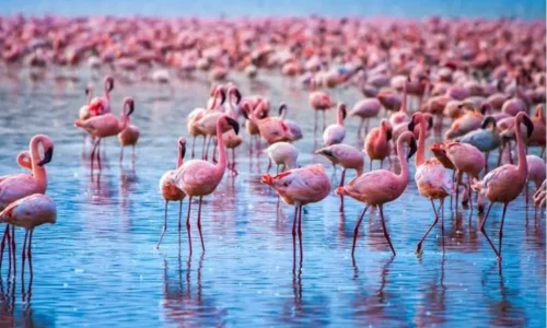 Avanza Adventures 001