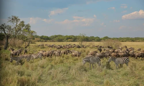 Avanza Adventures 043