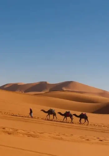 Chalbi Desert